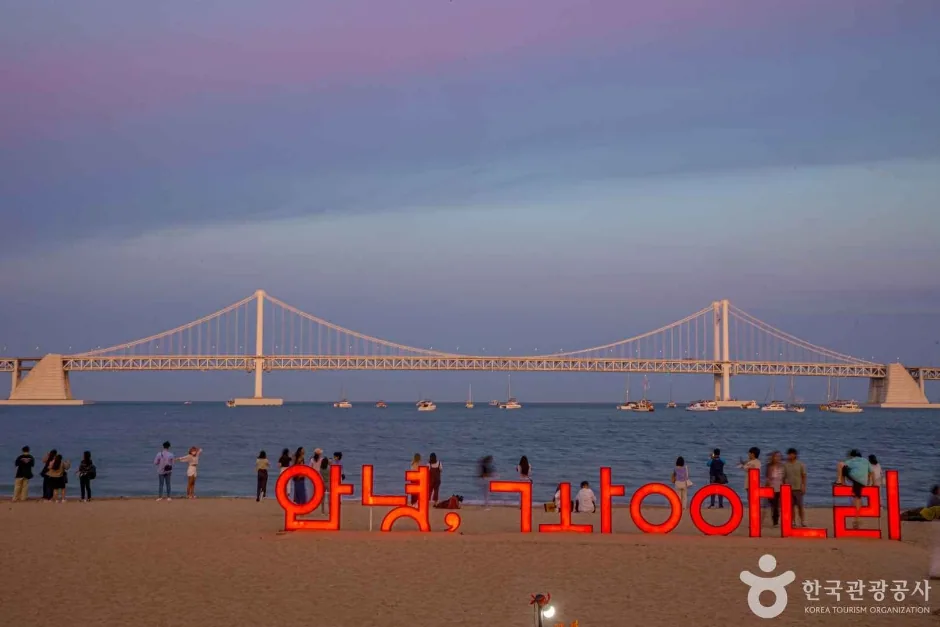 Busan Fireworks Festival 2026: A Foreigner's Guide guide cover