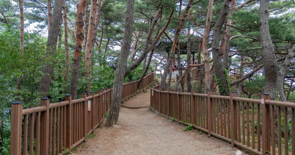 12 Best Cafes in Yangyang (2026): Oceanfront Decks & Forest Hideaways guide cover