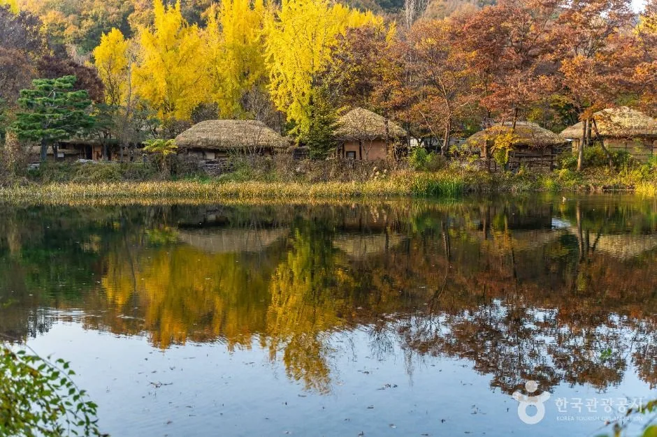 11 Best Cafes in Yongin (2026): Forest Views, Hanok & Lakeside Spots guide cover